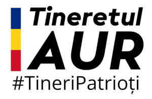 logo tineretul aur